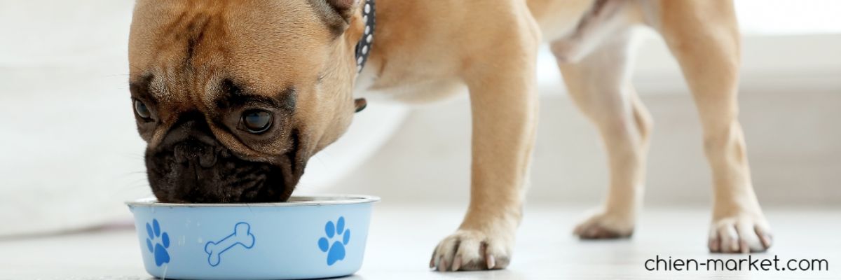 chien-market.com chien-market.com